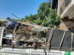 Best Dumpster Rental Services  in Pierce, NE