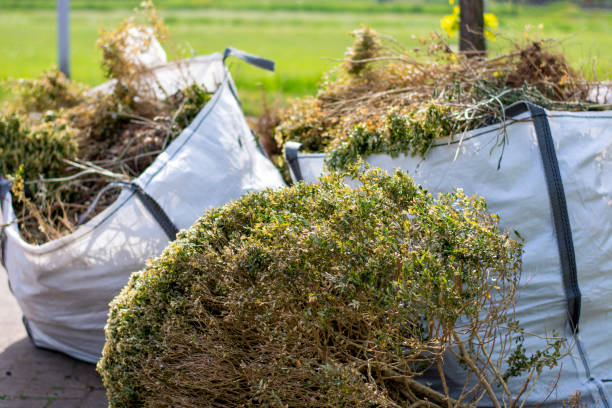 Best Demolition Debris Removal  in Pierce, NE